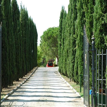 Villa Panconesi มอนเตสแปร์โตลิ ภายนอก รูปภาพ